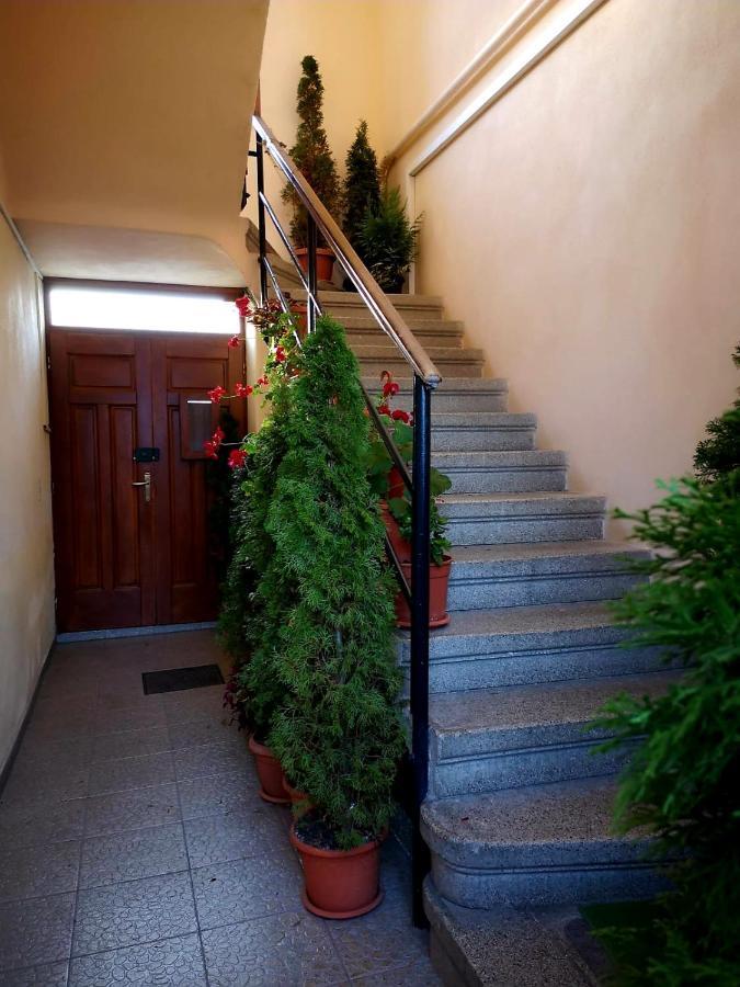 Villa Casa Ioana Брашов Экстерьер фото