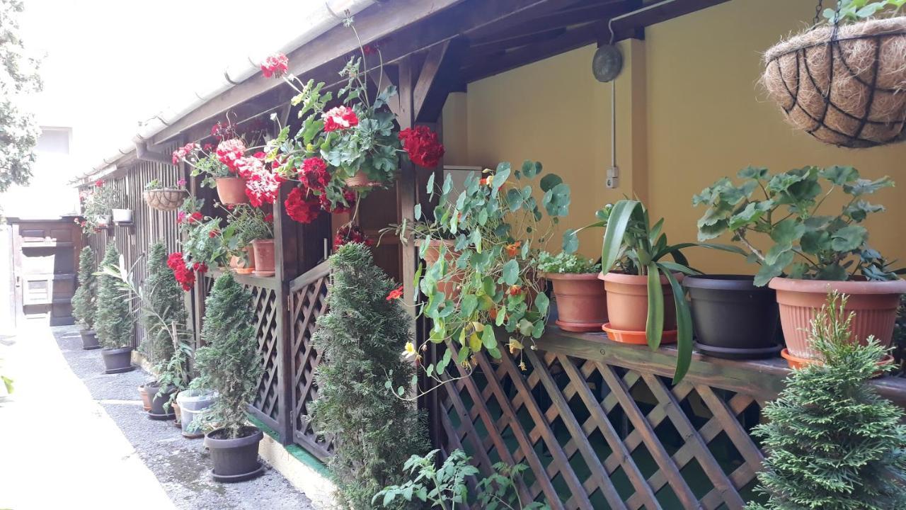 Villa Casa Ioana Брашов Экстерьер фото