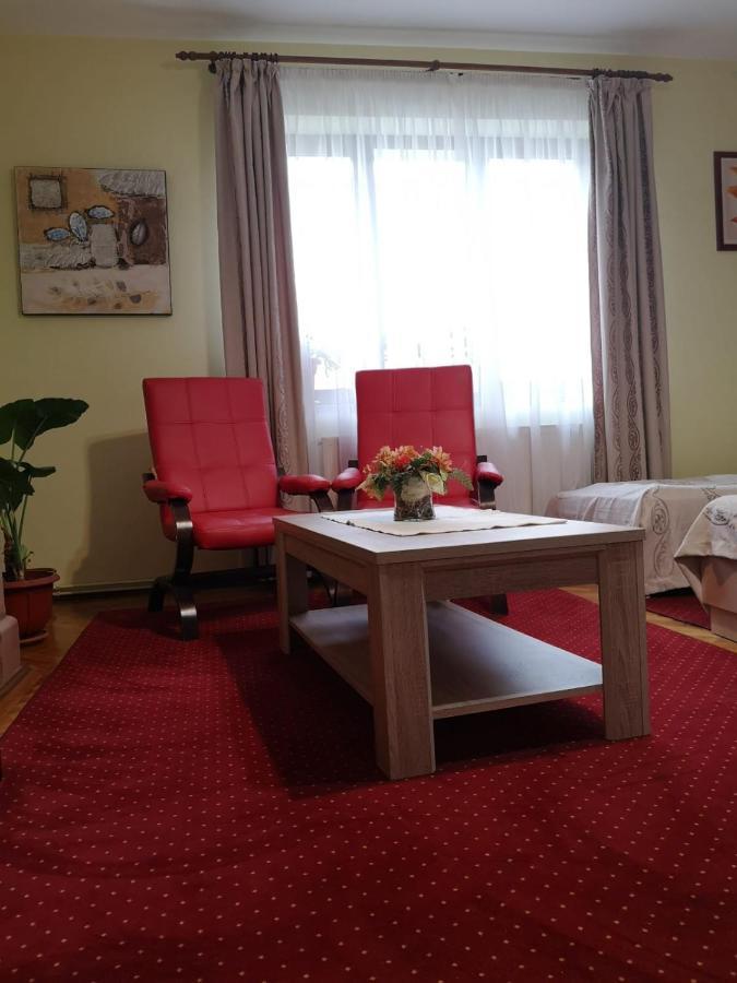 Villa Casa Ioana Брашов Номер фото