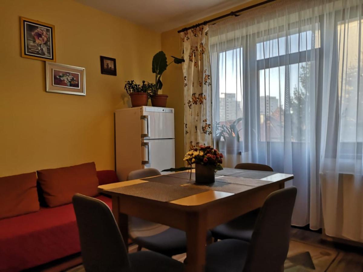 Villa Casa Ioana Брашов Номер фото