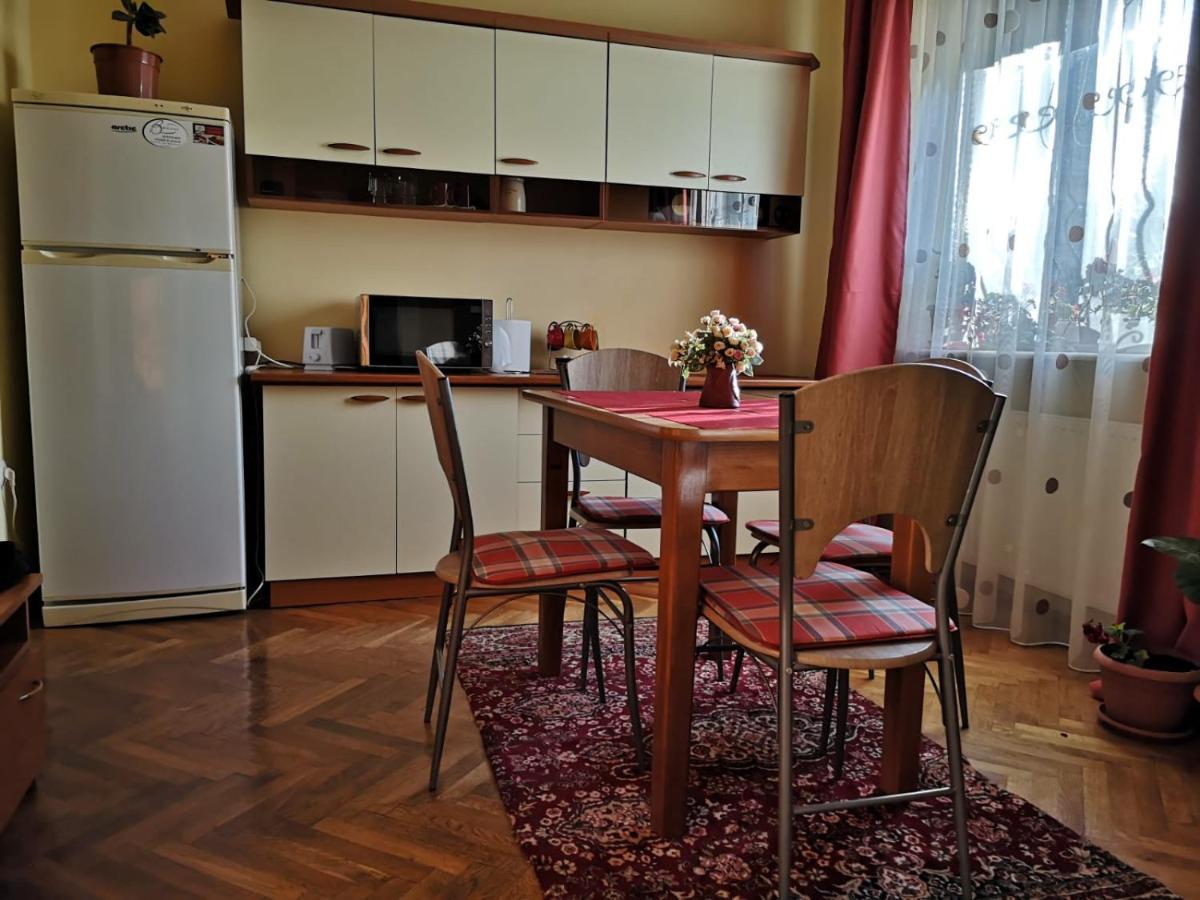 Villa Casa Ioana Брашов Номер фото