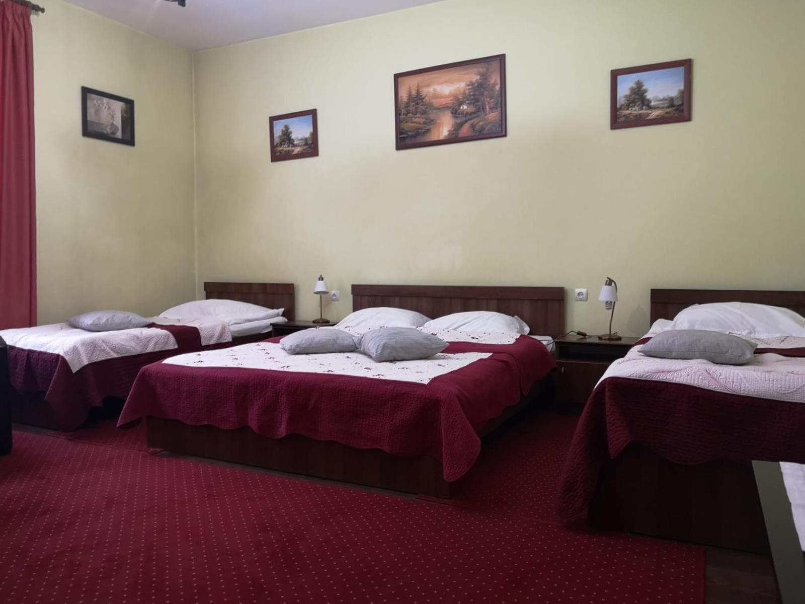 Villa Casa Ioana Брашов Номер фото