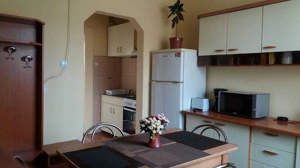 Villa Casa Ioana Брашов Экстерьер фото