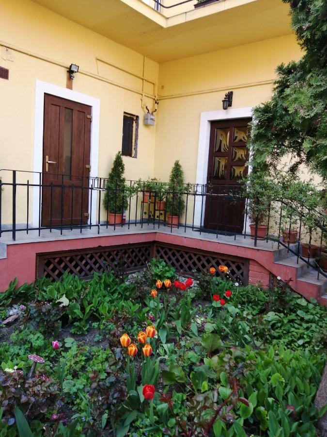Villa Casa Ioana Брашов Экстерьер фото